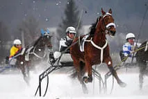 Region Winter Bild 0